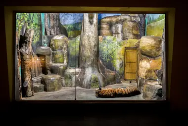 Zoo Ústí nad Labem - Nevinné oběti